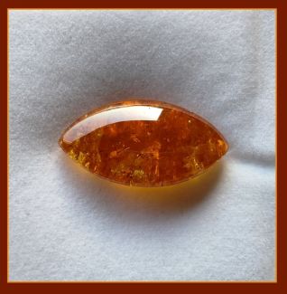 garnet mandarin