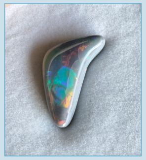 opal harlequin
