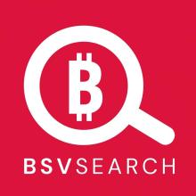 BSV Search Logo